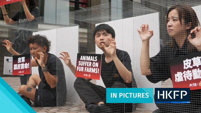 Article - In Pictures Fur Fair Protest
