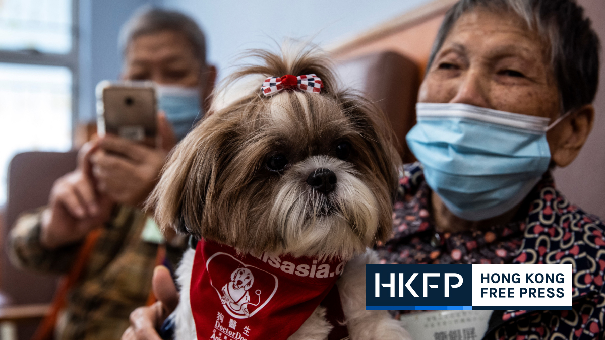 As Hong Kong’s elderly face loneliness epidemic, carers hope dogs and disco will keep post-Covid isolation at bay